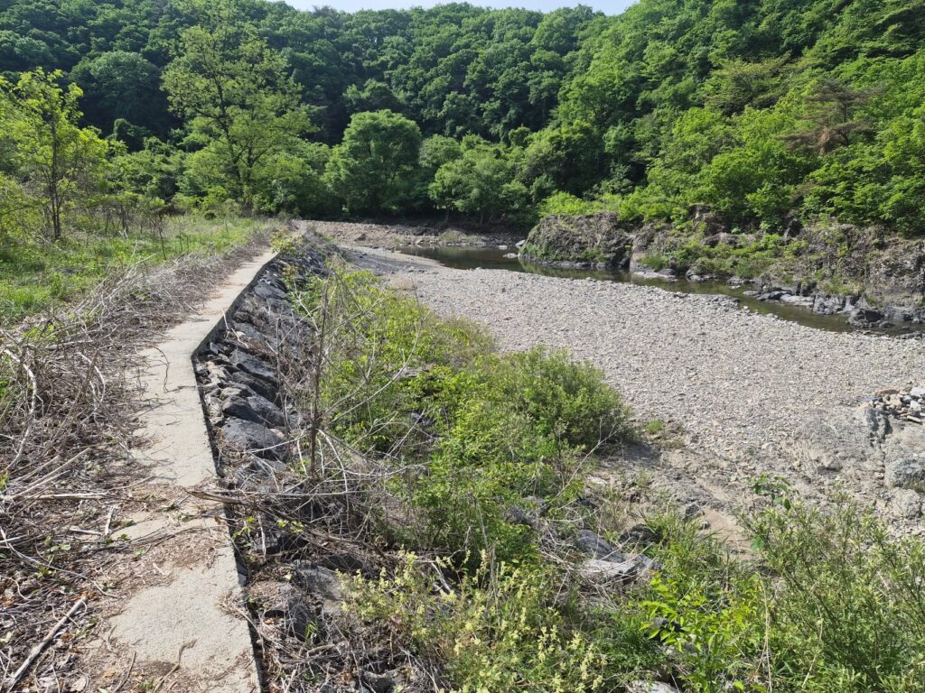서울 근교 노지 계곡 타프자리