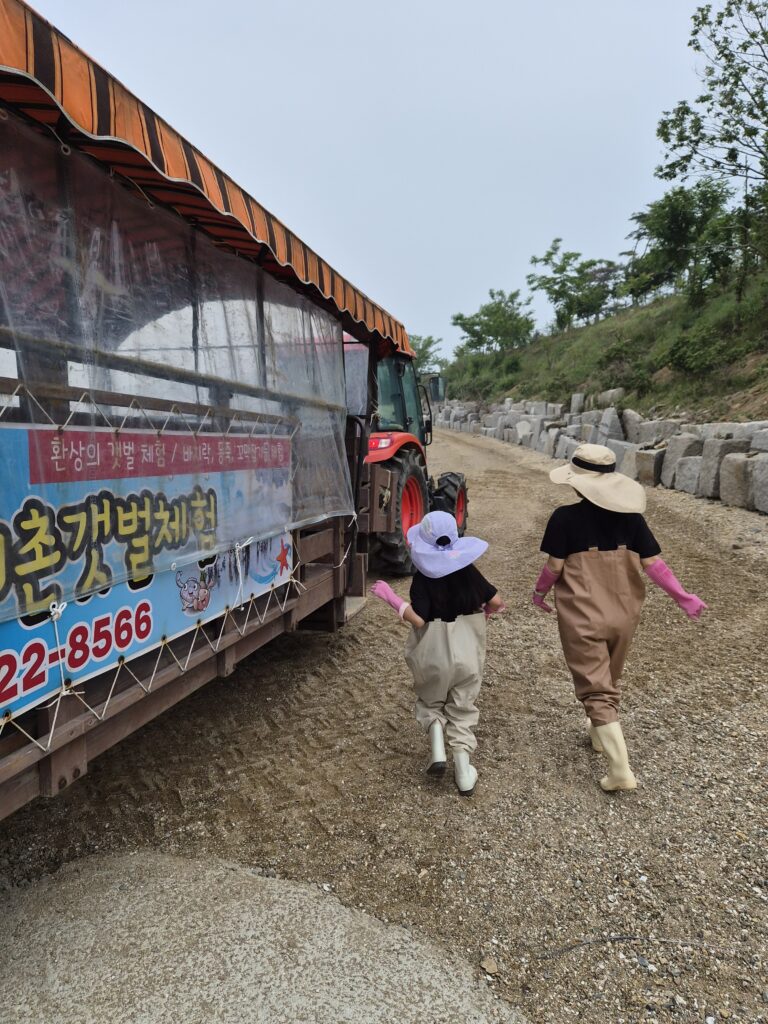 대부도 리틀키즈풀빌라 개벌체험